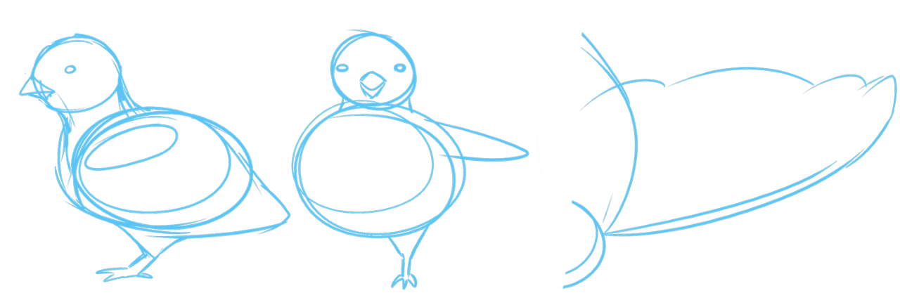 A rough sketch of a pigeon. It is very round.